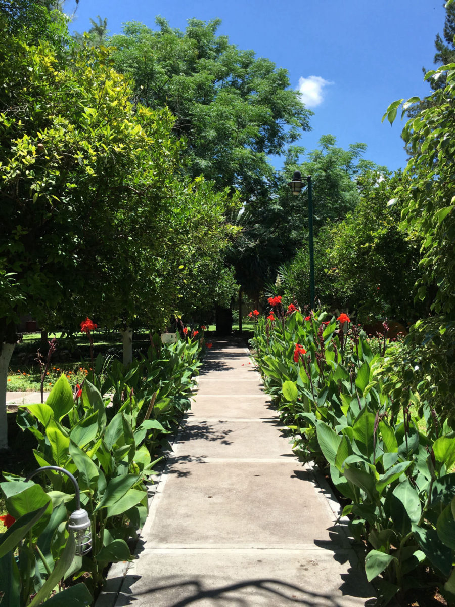 Jardines y áreas verdes de Paraíso Aventura