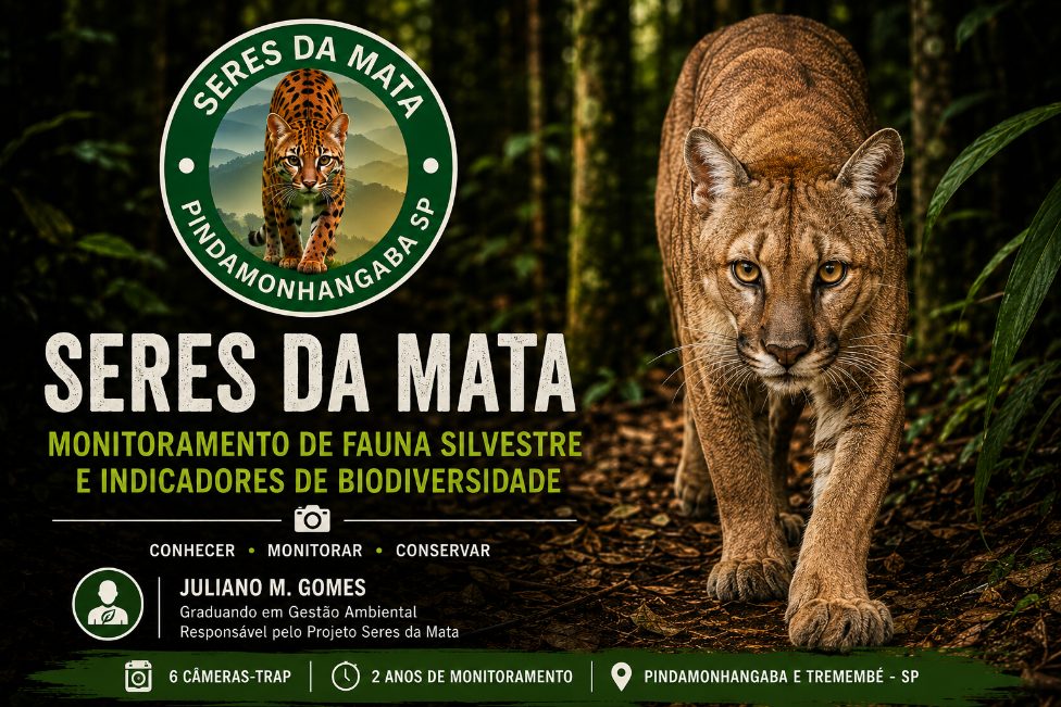 Juliano Marques Gomes