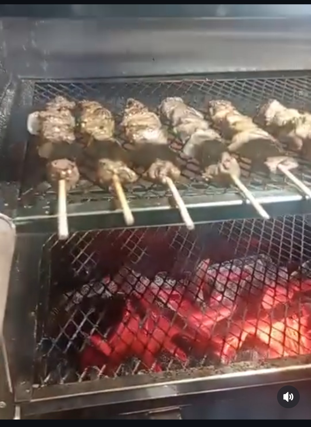 Espetinhos Dú´Bom