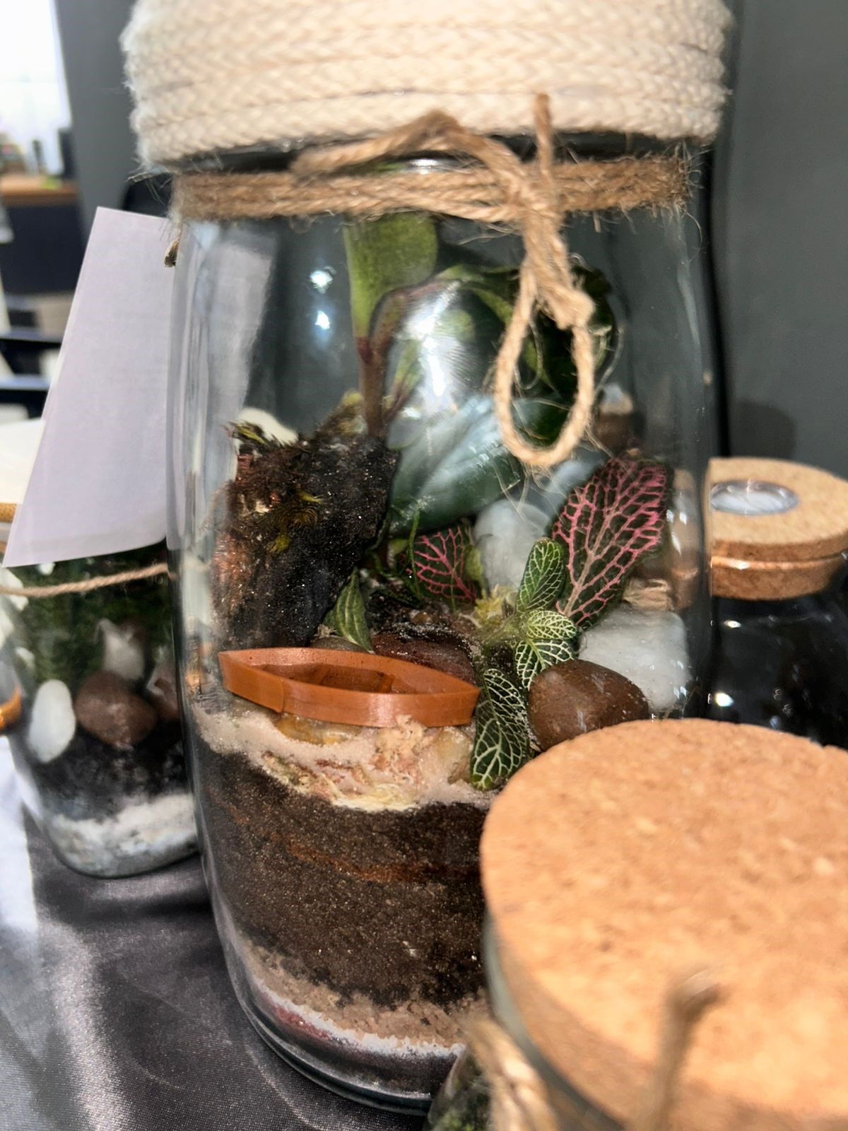 terrario