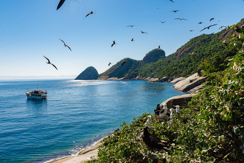 Refúgio de Vida Silvestre do Arquipélago de Alcatrazes