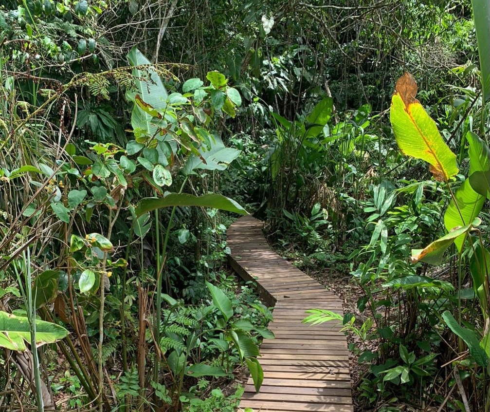 Trilha da Praia Brava de Boiçucanga