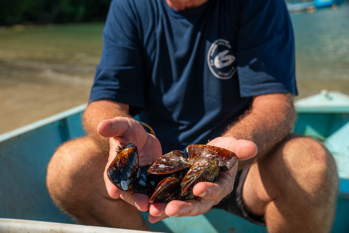 Festival do Mexilhão