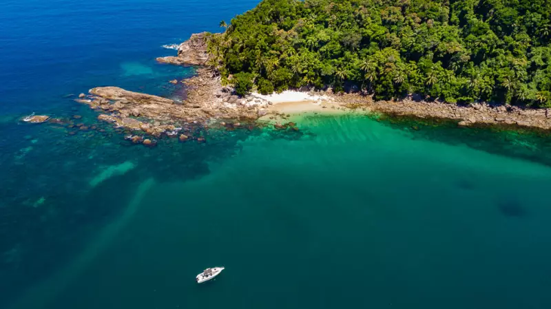 Ilha dos Gatos