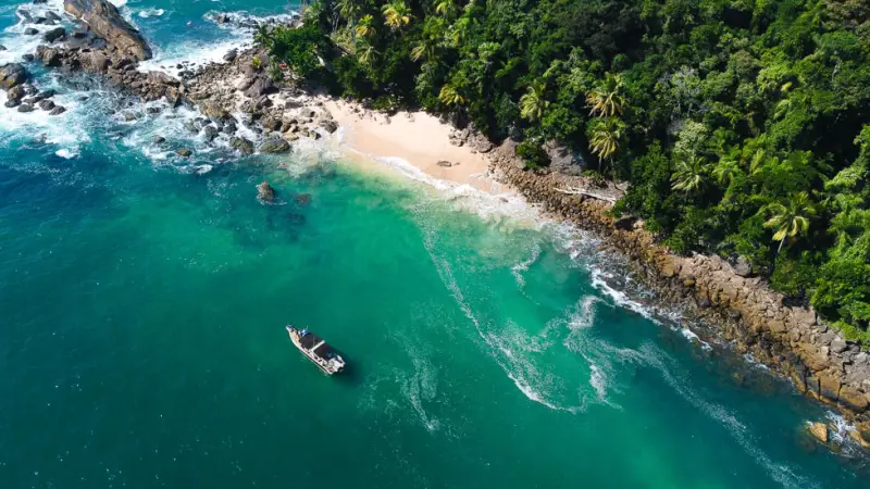 Ilha dos Gatos