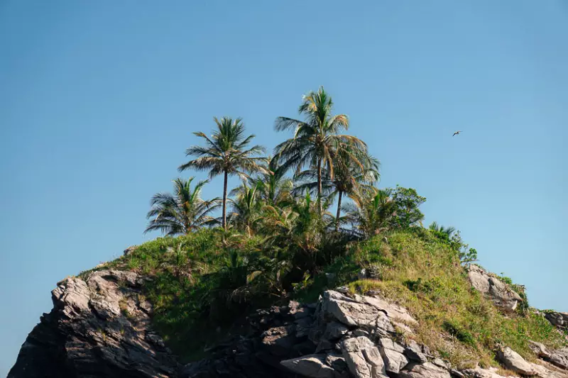 Ilha do Aparas