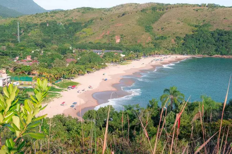 Paúba
