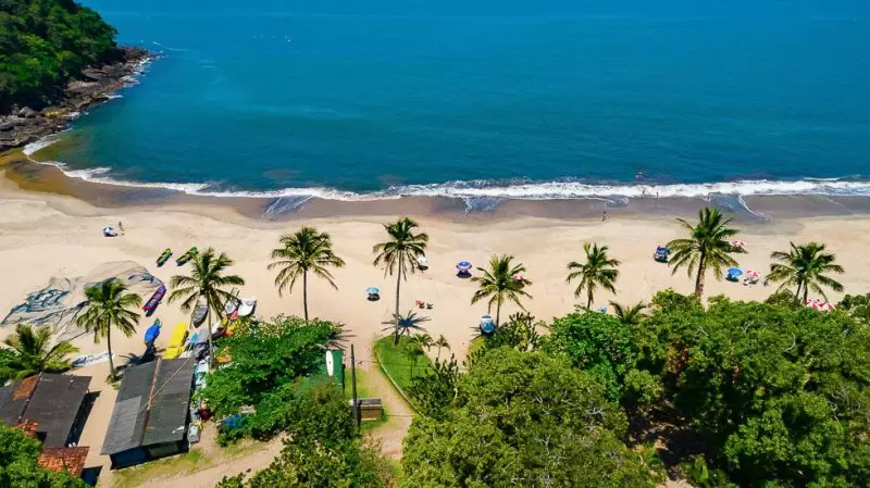 Paúba