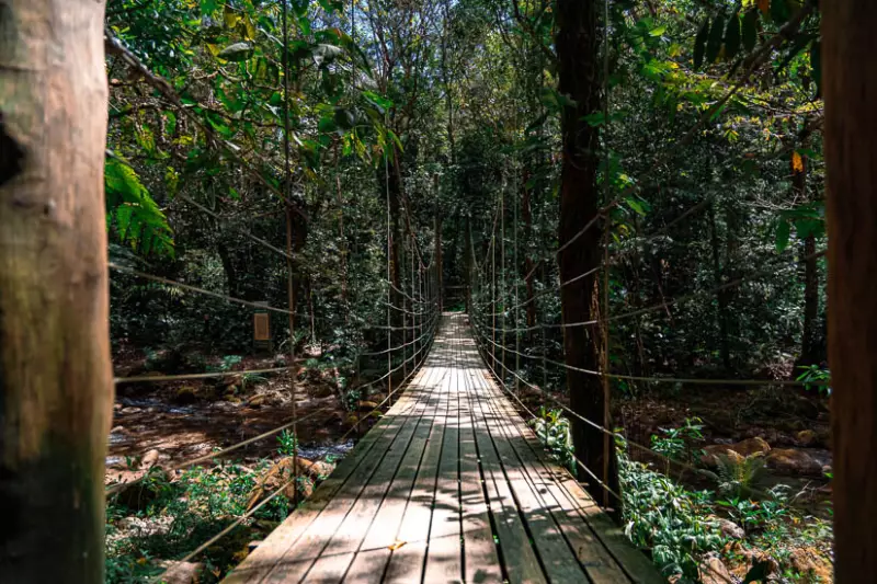 Cachoeira Samambaiaçu