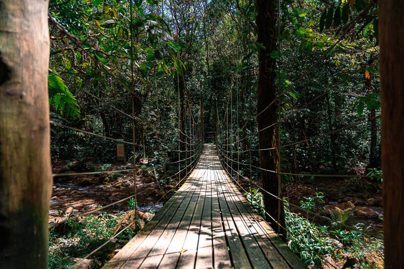 Cachoeira Samambaiaçu