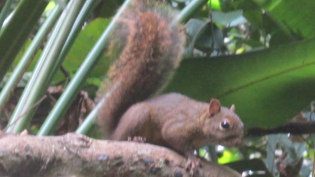 Jairo Dojcsar landim