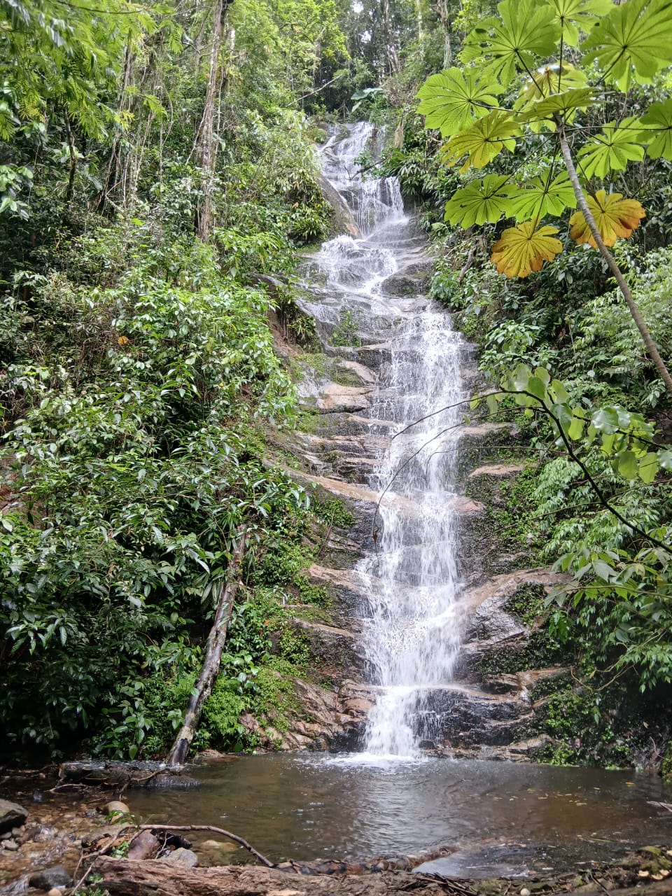 Jairo Dojcsar landim