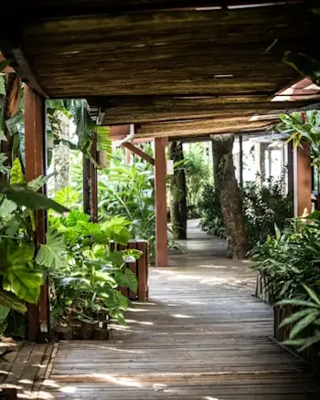Juquehy Praia Hotel