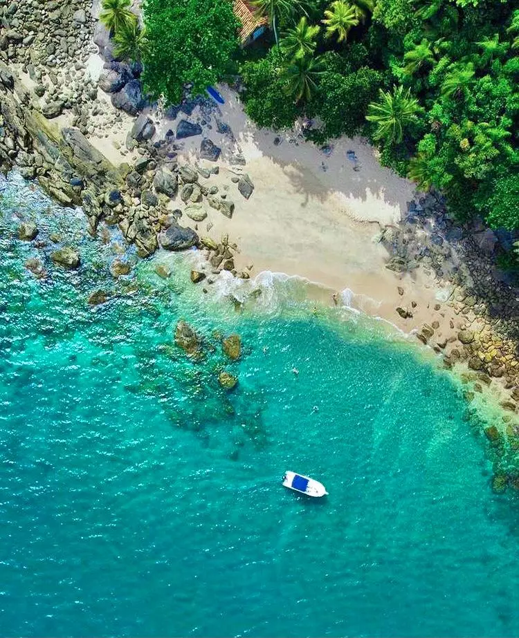 Ilha do Gato Trips