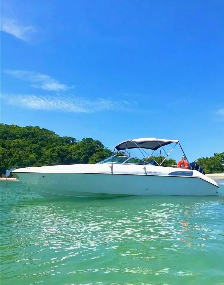 Ilha do Gato Trips