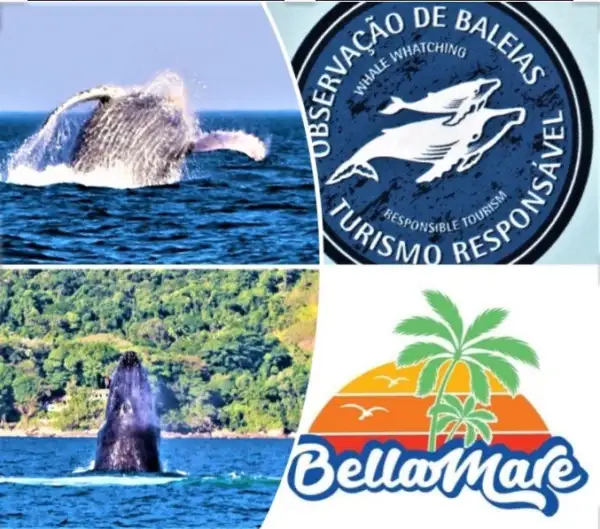 Bellamare passeios