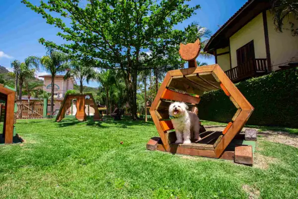 Ciribai Praia Hotel