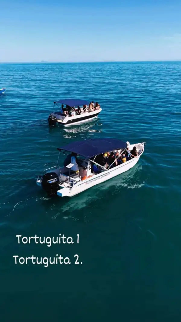 TORTUGUITA PASSEIOS