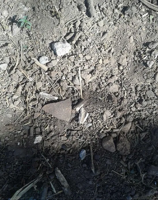 Claríndelosmagueyes3