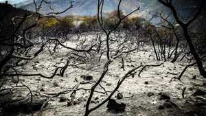El gobernador vacaciona en los parajes de Xichú mientras los incendios flagelan la región