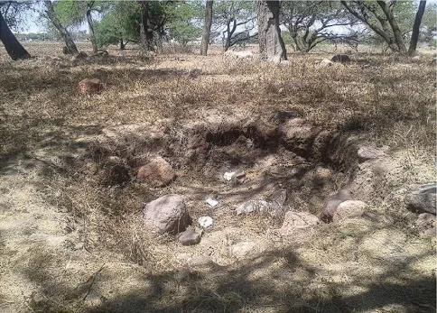 Claríndelosmagueyes2