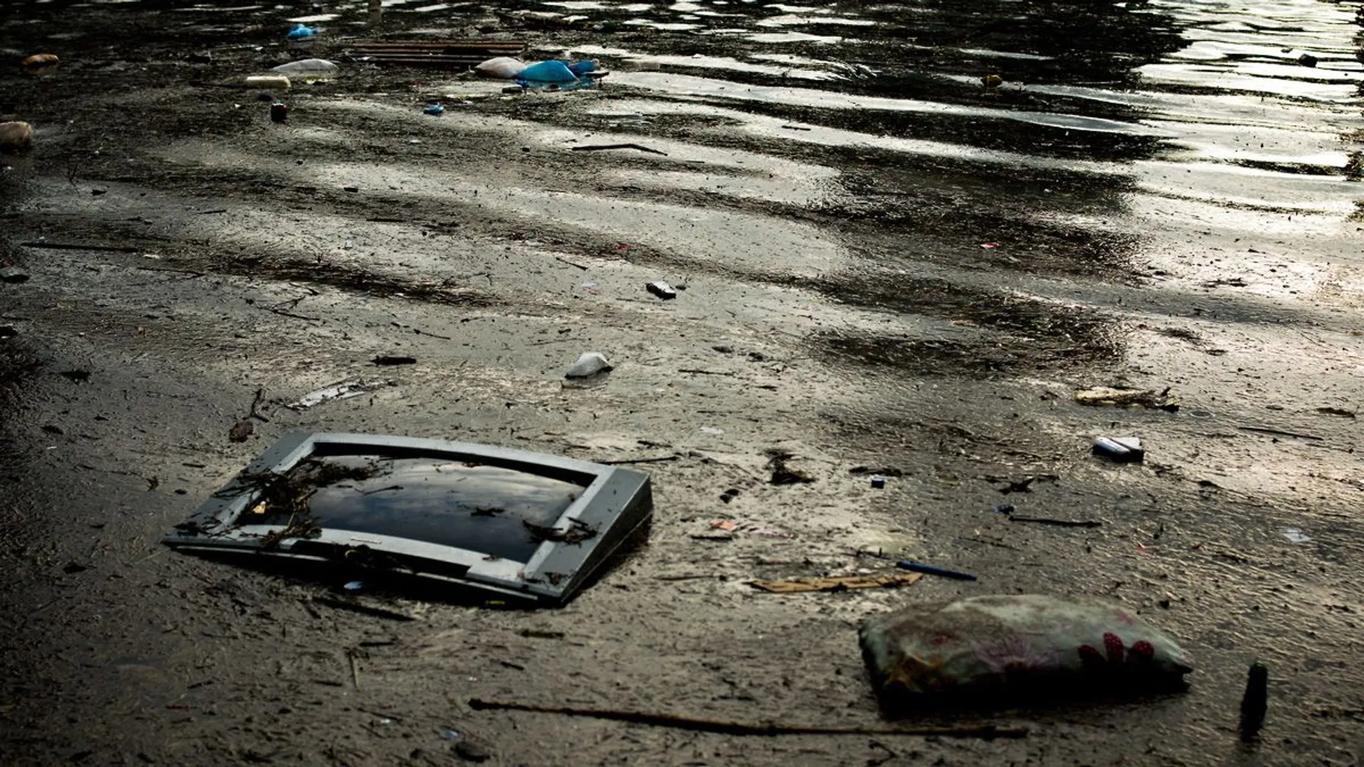 Metabolizar la rabia, vivir el colapso