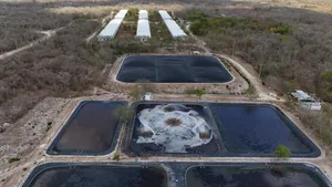 Vista aérea de una granja porcícola de 12 naves en el sudoriental estado de Yucatán, que se ha convertido en el epicentro de la crianza y procesamiento de cerdos y pollos. Esa producción está destinada a la exportación. IMAGEN: Greenpeace