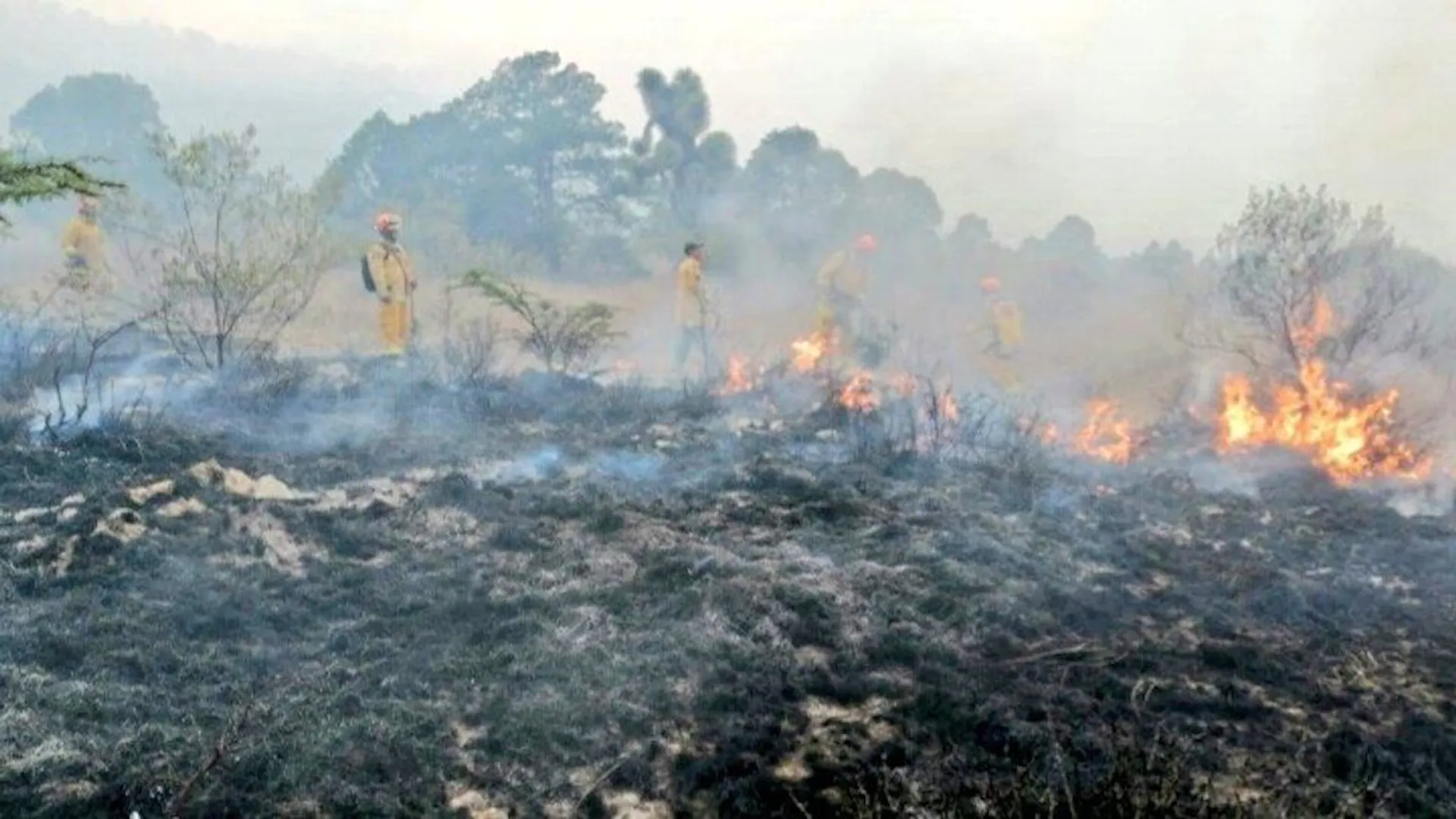 Cumple seis días incendio forestal en San Felipe, ha consumido 5.9 mil hectáreas