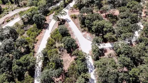 Diputado panista tala y fracciona predio en Santa Rosa con complicidad del municipio y Simapag