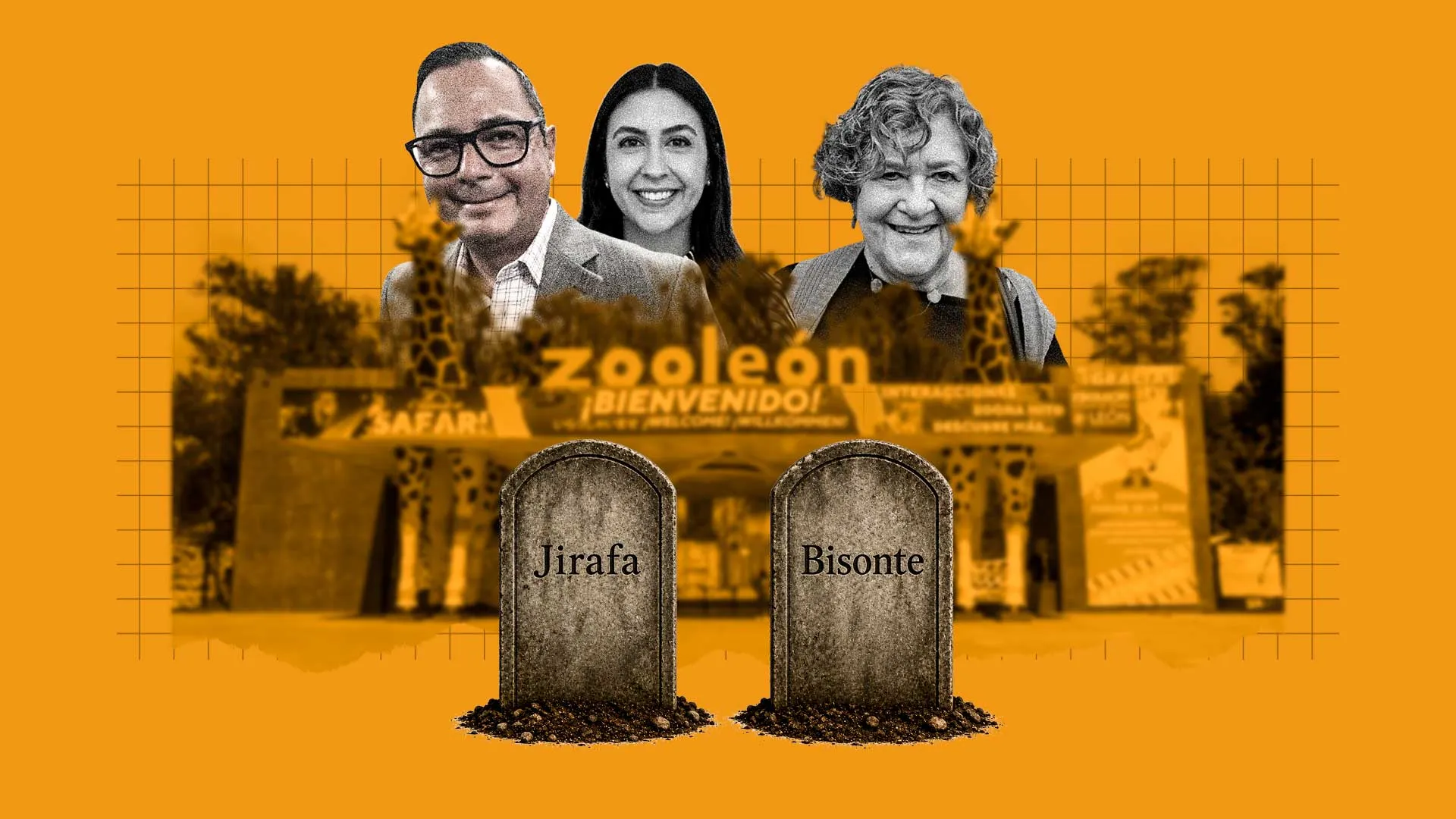 portada_zoo_leon.jpg