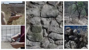 portada arqueologiagto