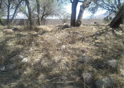 Claríndelosmagueyes5