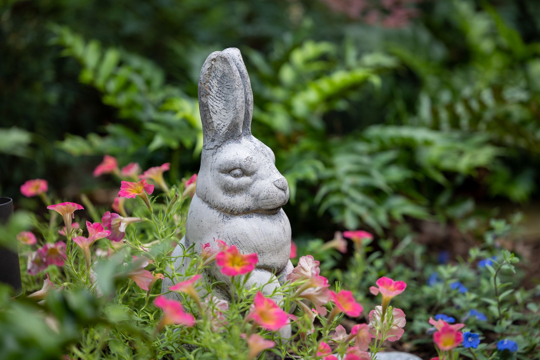 Bunny Statue in Shade Garden