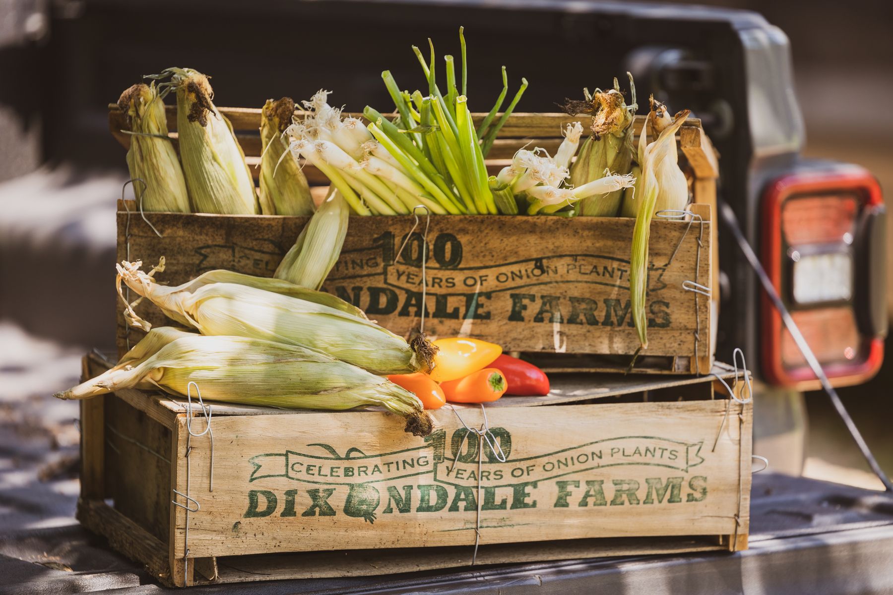 Veggies in Crates