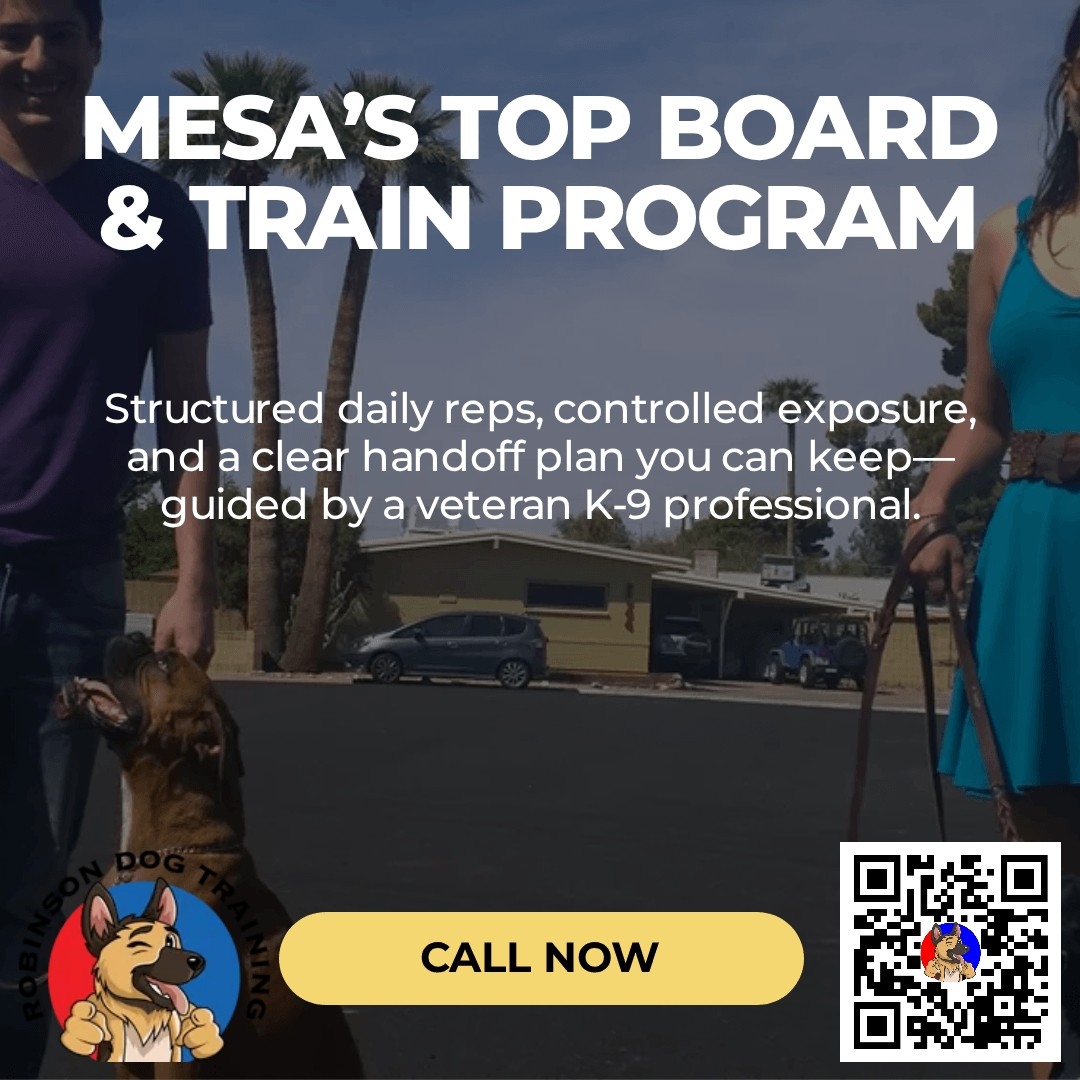 Service Dog Training