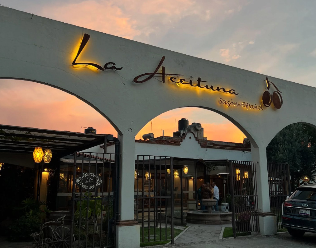 La Aceituna Sazón Español