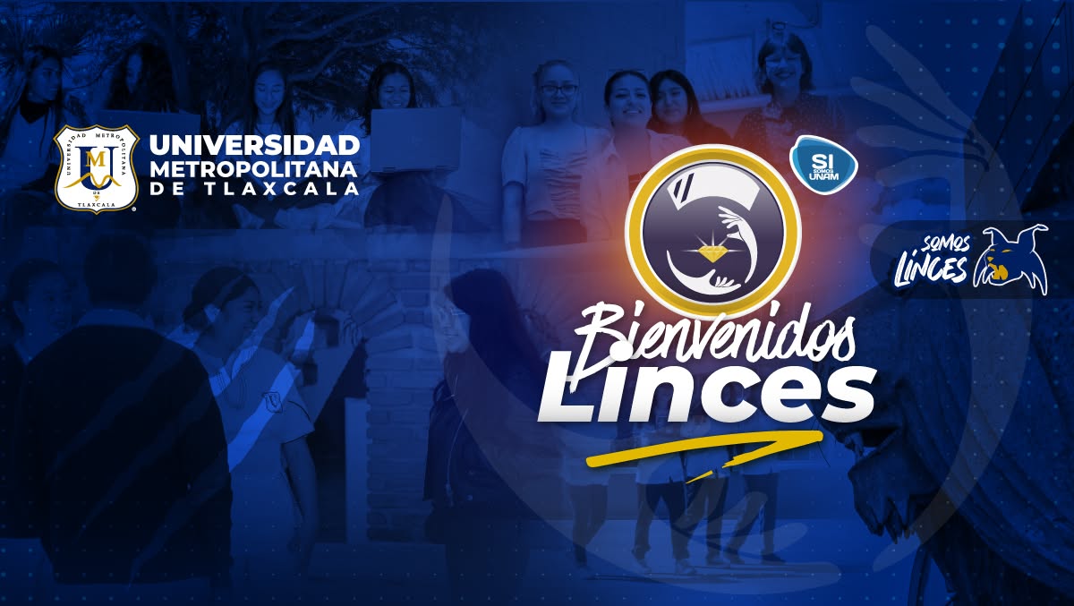 UMT Enfermería
