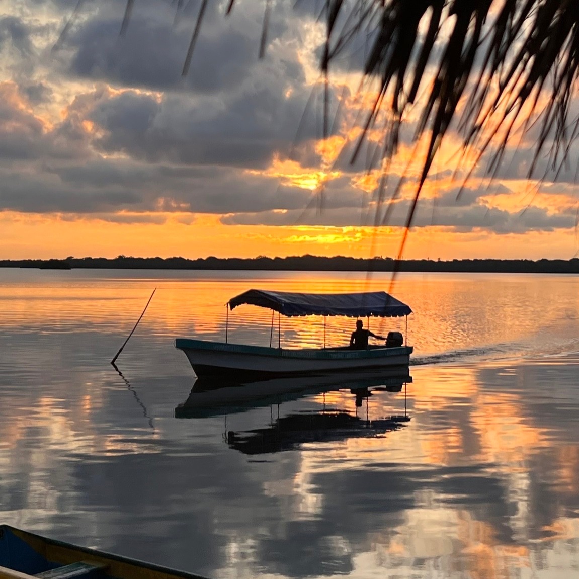 Mariscos Villa Rica
