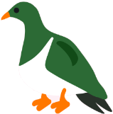 kereru_l