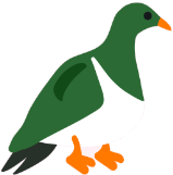 kereru_r