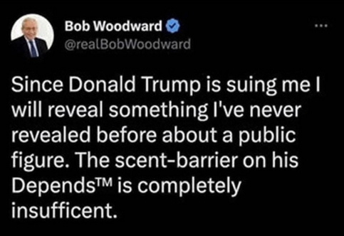 @realBobWoodward

Since Donald Trump is suing me, I will reveal something I've never revealed before about a public figure. The scent-barrier on his Depends™ is completely insufficient.