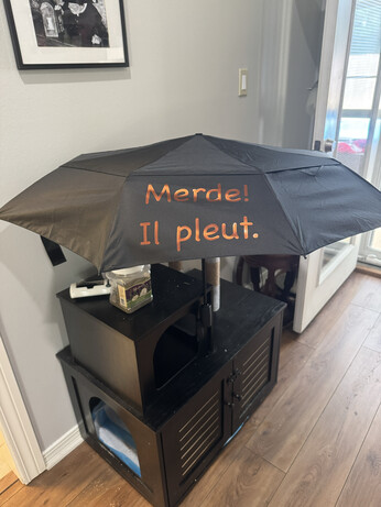 Umbrella. Printed on it is "Merde! Il pleut."