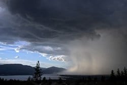 MFT Exam Free Practice Question