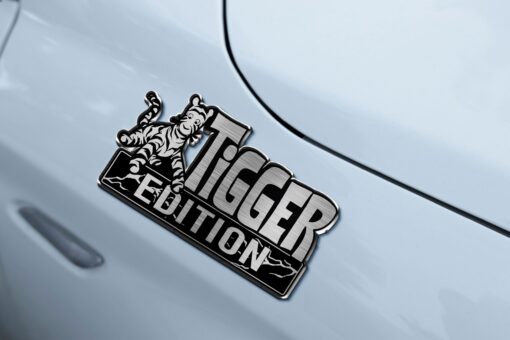 Tigger Edition Laser Engraved Car Name Emblem Badges - Image 6