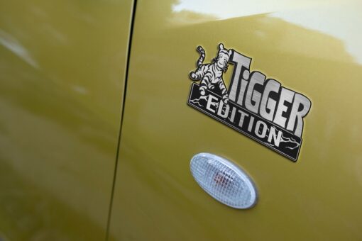 Tigger Edition Laser Engraved Car Name Emblem Badges - Image 5