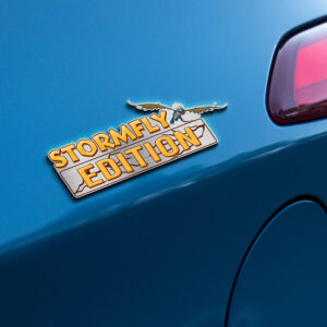 Alternative view of Stormfly Edition Laser Engraved or 3D Inlayed Car Name Badge