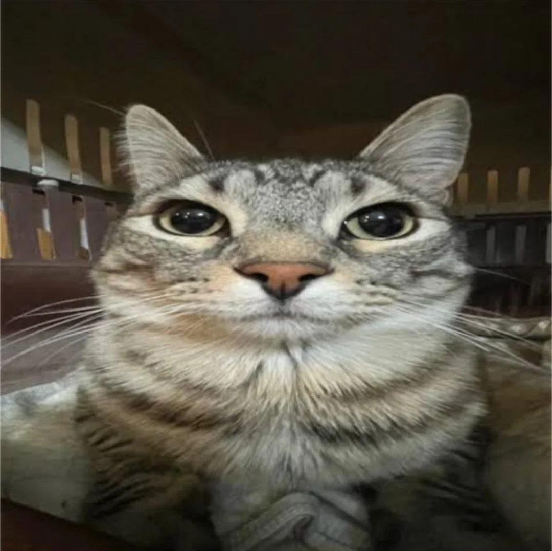 yungLisek