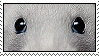 beans_on_ghost