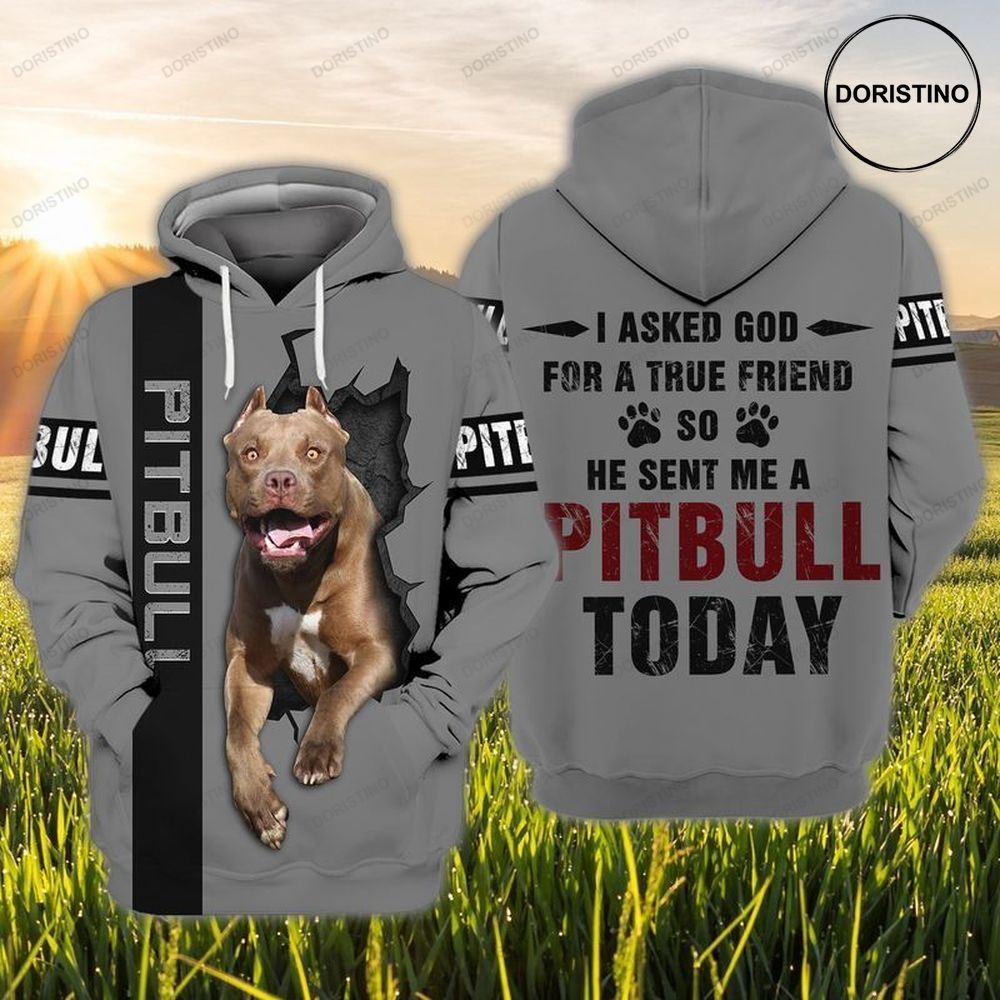 Love Pitbull I Asked God For A True Friend So He Sent Me A Pitbull Today All Over Print Hoodie