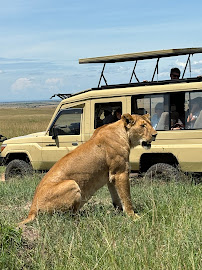 Vulture African Safaris